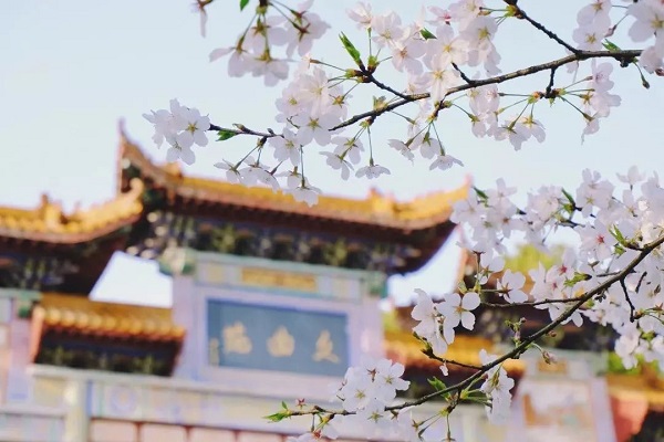 湖北第二师范学院
