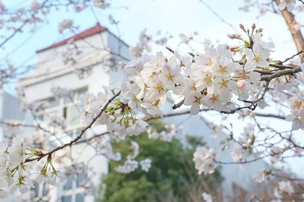 湖北第二师范学院 湖北第二师范学院